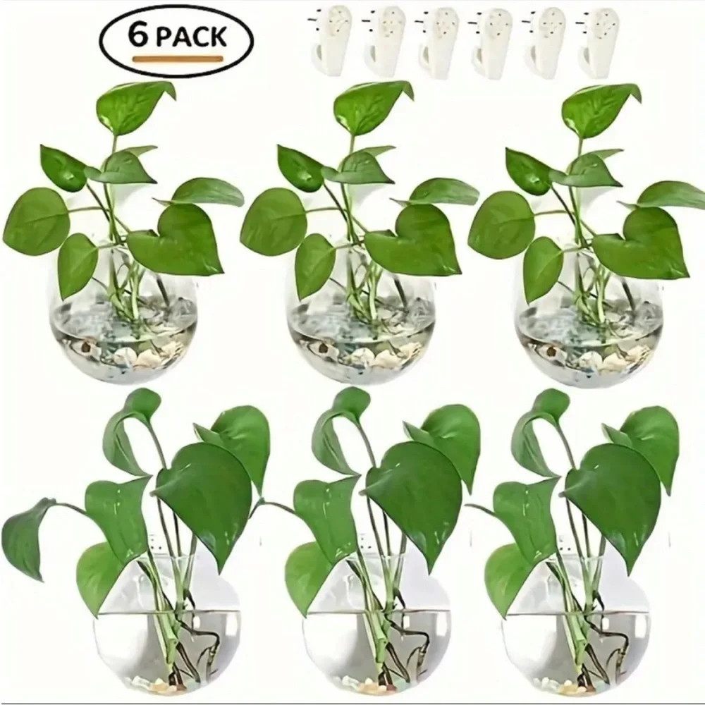 🌿 6 Pc Set of Glass Wall Planter Bowls Brighten Up Your Room 🌾🪴🎋🍃